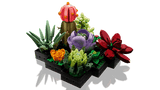 LEGO® Botanicals Succulents
