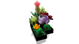 LEGO® Botanicals Succulents