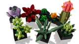 LEGO® Botanicals Succulents