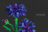 LEGO® Botanical Almanac