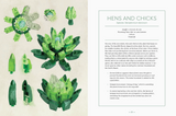 LEGO® Botanical Almanac
