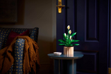 LEGO® Botanicals Peace Lily