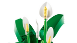 LEGO® Botanicals Peace Lily