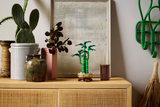 LEGO® Lucky Bamboo