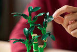 LEGO® Lucky Bamboo