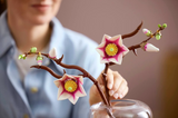 LEGO® Magnolia Branches