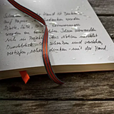 Outlines Edition Waterproof Notebook in Signal Orange