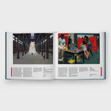 30,000 Years of Art: the Story of Human Creativity Across Time and Space