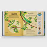 Nature's Tiny Champions: The Big Book of Little Creatures