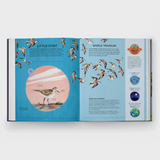 Nature's Tiny Champions: The Big Book of Little Creatures