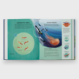 Nature's Tiny Champions: The Big Book of Little Creatures