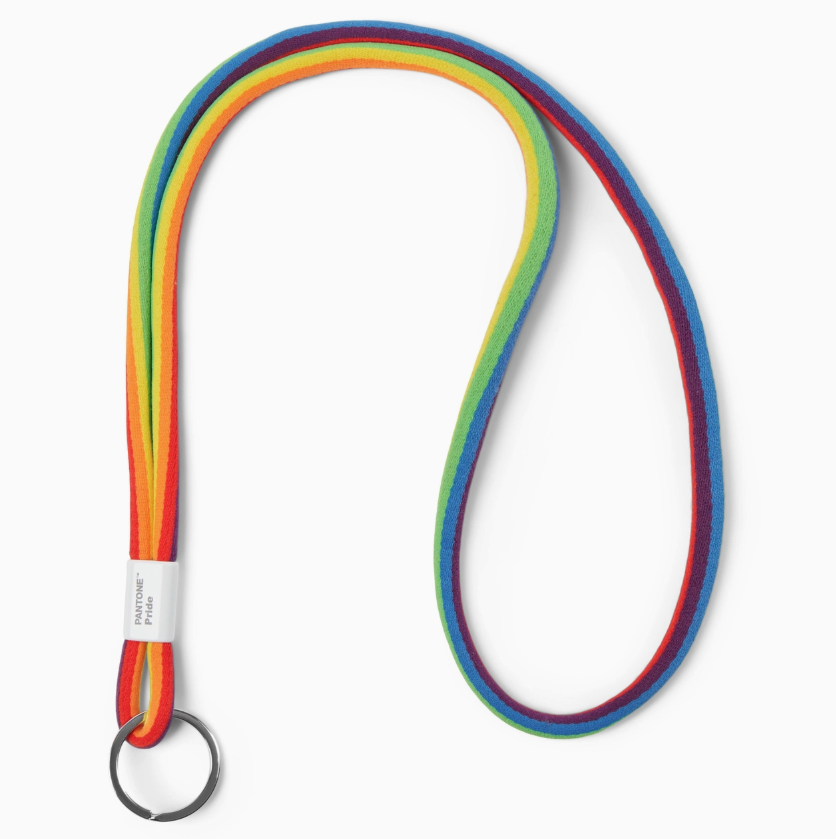 Pantone Pride Lanyard Keychain – AIA Design Shop