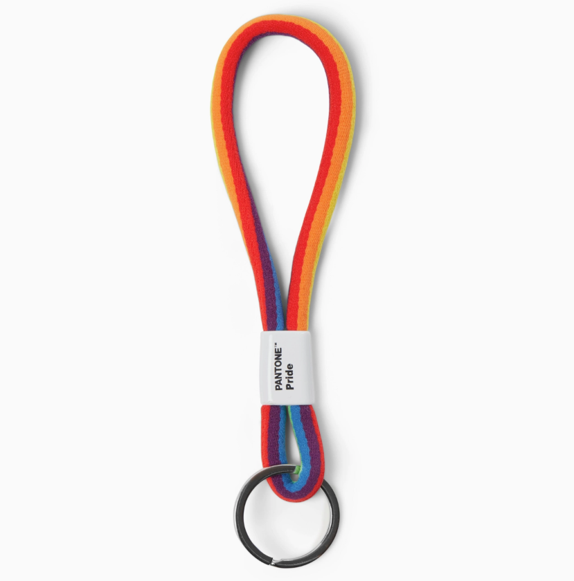 Pantone Pride Wristlet Keychain – AIA Design Shop
