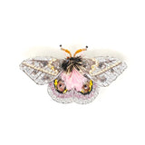 Pink Eyed Silk Moth Brooch by Trovelore