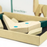 Wooden Magnetic Puzzle Toy: Brachiosaurus