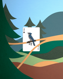 "Smokey Bear" Card Deck