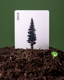 "Smokey Bear" Card Deck