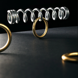 Ring & Spring Puzzle