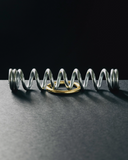 Ring & Spring Puzzle