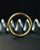 Ring & Spring Puzzle