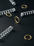 Ring & Spring Puzzle