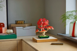 LEGO® Botanicals: Japanese Red Maple Bonsai Tree