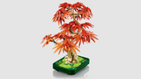 LEGO® Botanicals: Japanese Red Maple Bonsai Tree