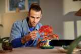 LEGO® Botanicals: Japanese Red Maple Bonsai Tree