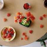 LEGO® Botanicals: Japanese Red Maple Bonsai Tree