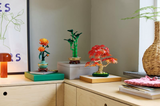 LEGO® Botanicals: Japanese Red Maple Bonsai Tree