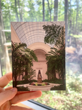 Natl. Gallery of Art Postcard
