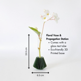 Hanok Mini Propogation Vase in Terracotta