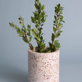 Terrazzo Wine Cooler
