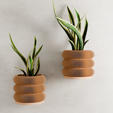 Medium Hanging Triple Bubble Wall Planter by Modernized Pottery