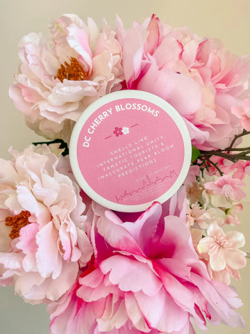 DC Cherry Blossoms Candle Tin