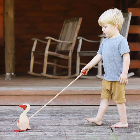 Drewart Duck Push Toy